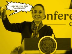 La leona cree que todos son de su condición…a