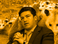 Un tlacuache: la gran prioridad para Samuel García